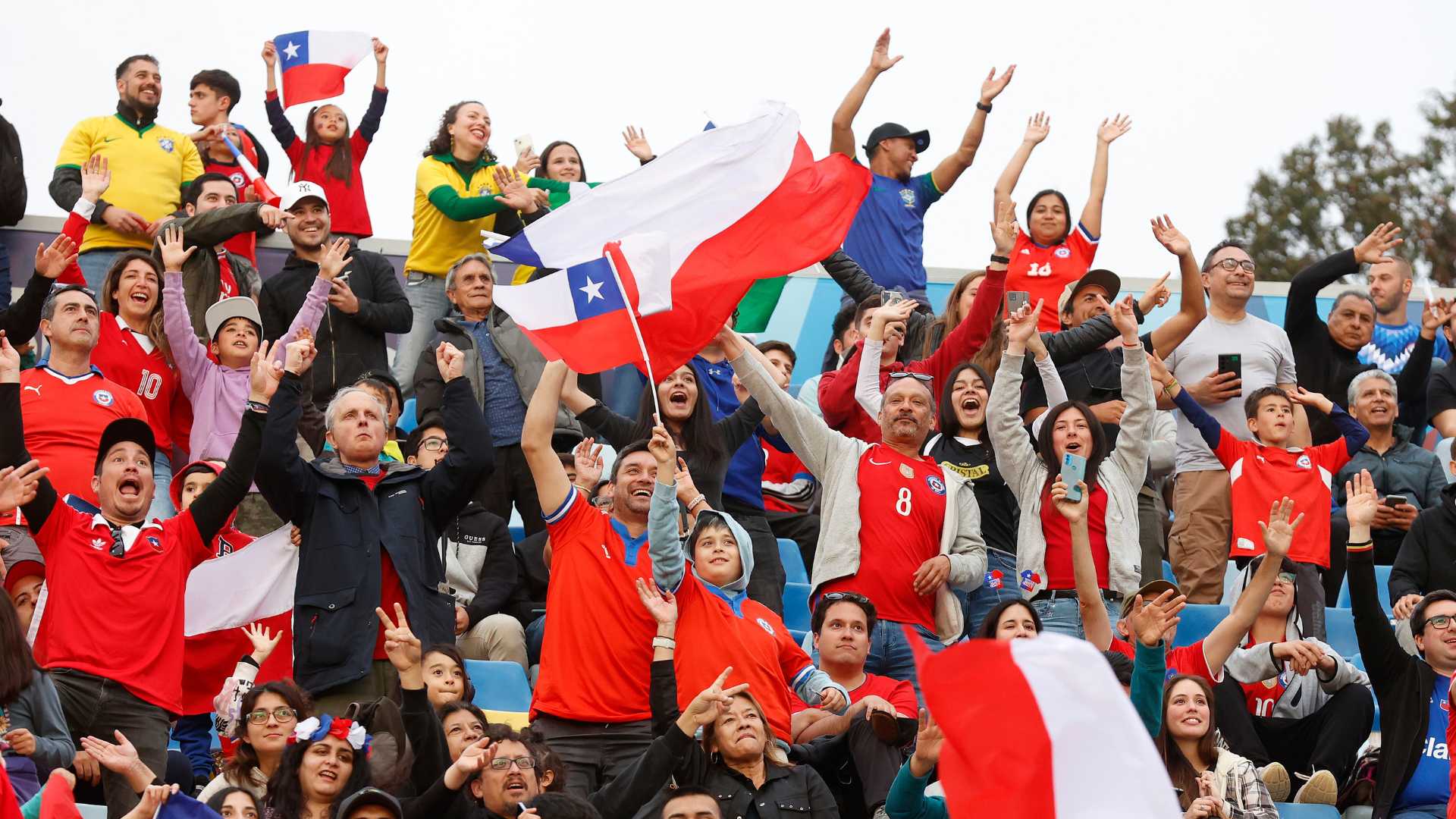 Programa domingo 5 de noviembre: La fiesta continental se despide tras hacer vibrar y soñar a todo Chile