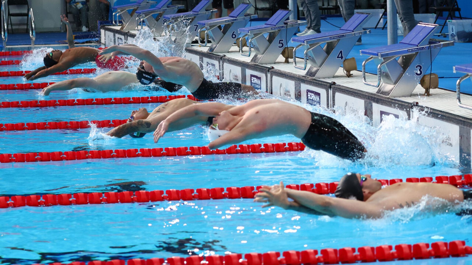 Brazil Expands its Gold Rush in Para Swimming Thanks to Relays