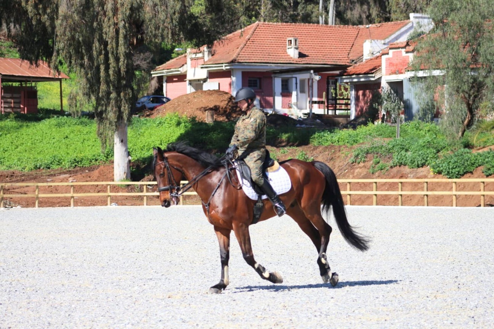 Los caballos ya saltan y trotan en Quillota: prueban canchas para competencia panamericana 