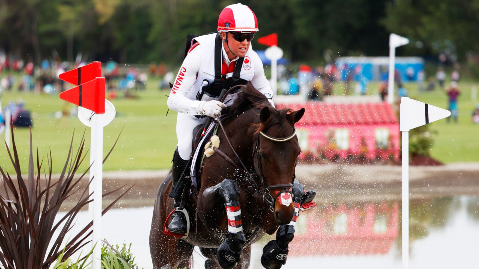 Complete Equestrian Eventing: Gold for Canada and the United States