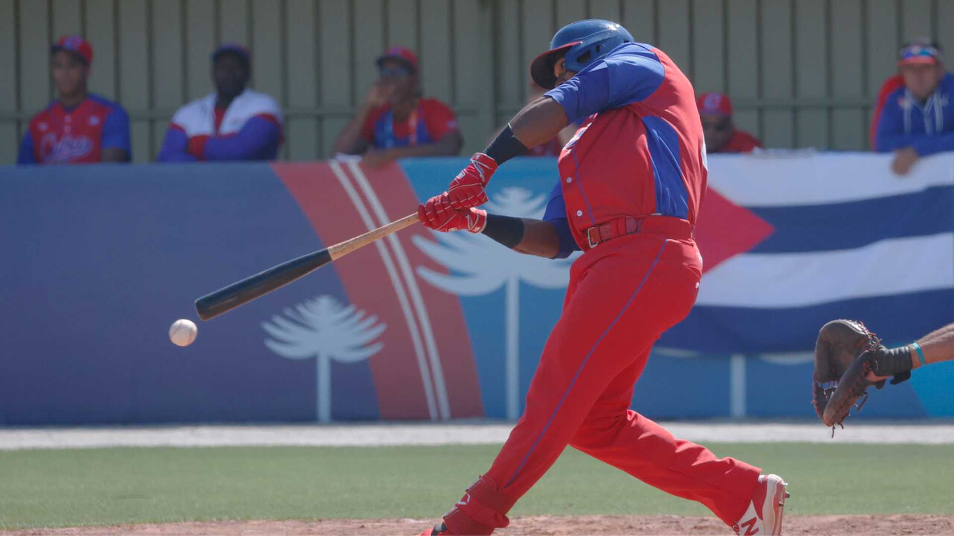 Baseball: The Dominican Republic Takes Fifth Place in the Pan American Games